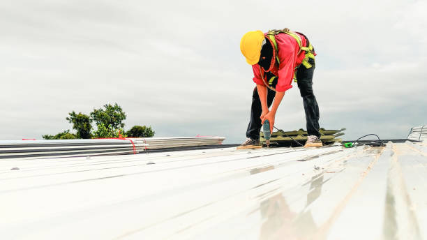 Best Roof Moss and Algae Removal  in English Creek, NJ